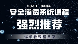 web安全渗透基础入门（详细看目录+会员联系微信获取）