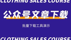 批量下载微信公众号文章工具