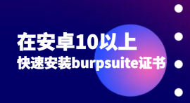 在安卓10以上快速安装burpsuite证书