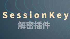 SessionKey解密插件